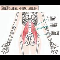 画像2534