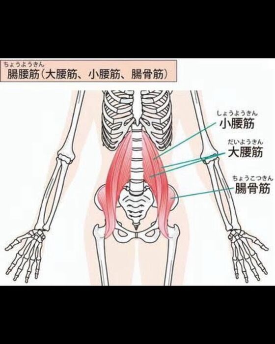 画像2534