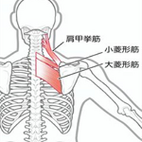 画像2688
