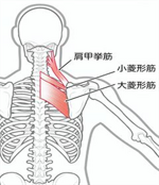 画像2688
