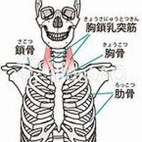 画像2690