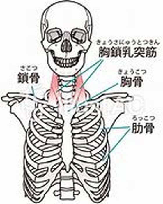 画像2690