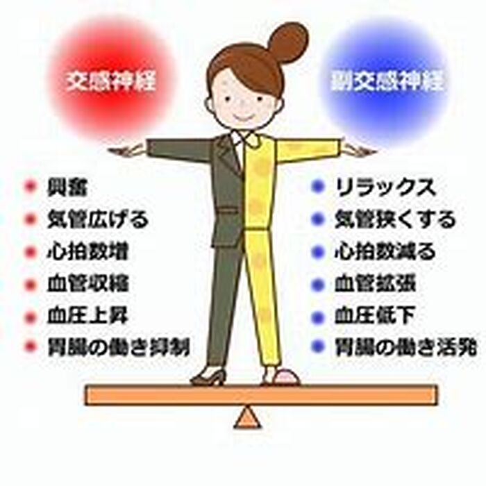 画像2694