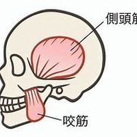 画像2696