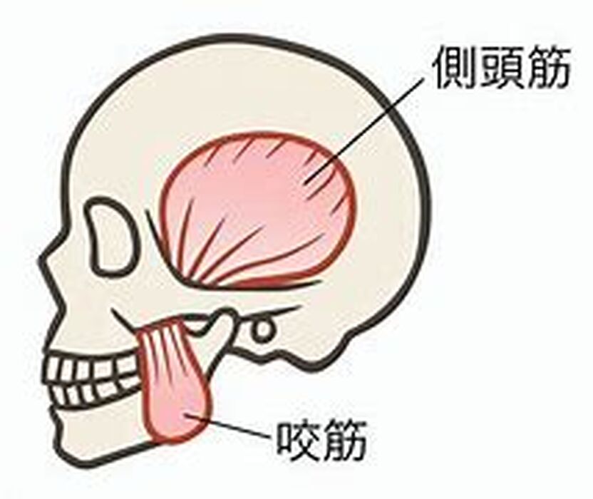 画像2696