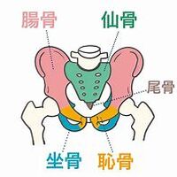 画像2708