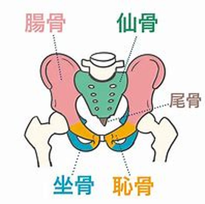 画像2708