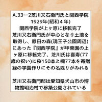 画像2782