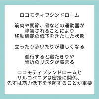 画像2842