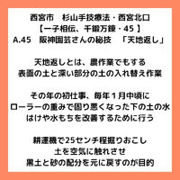 画像2921