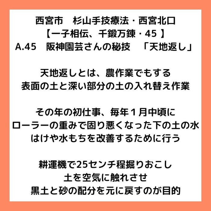 画像2921
