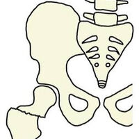 画像2987