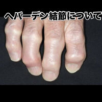 画像3036