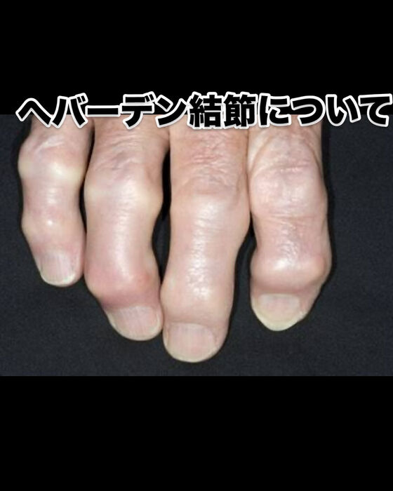 画像3036