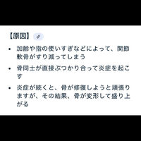 画像3037