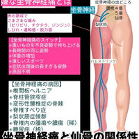 画像3071
