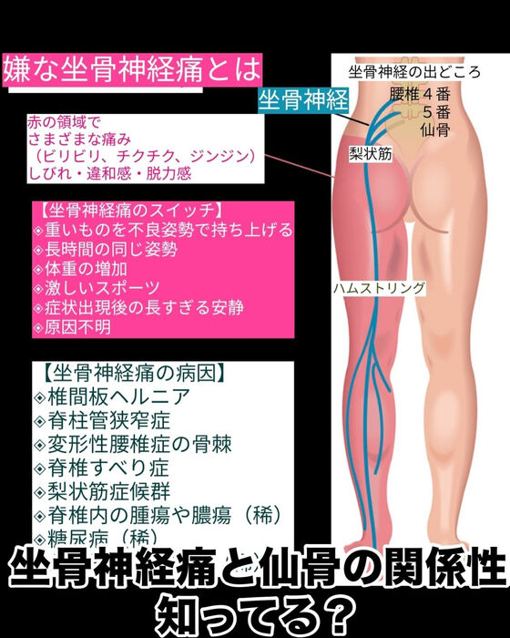 画像3071