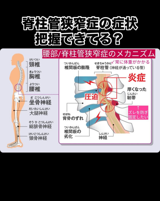 画像3079
