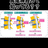 画像3081