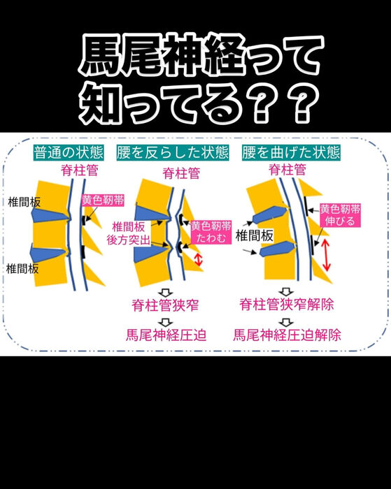 画像3081