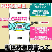 画像3083