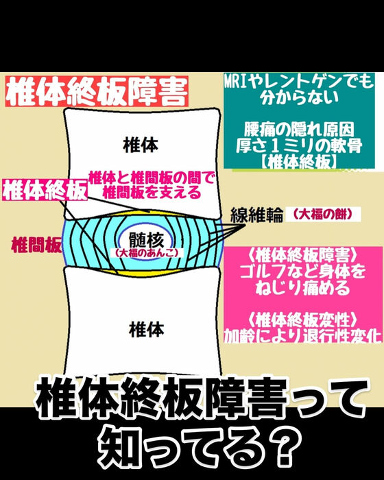 画像3083