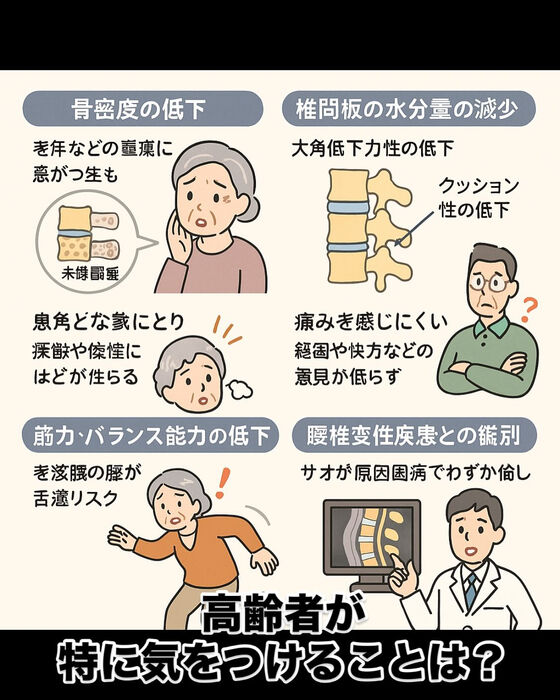 画像3085