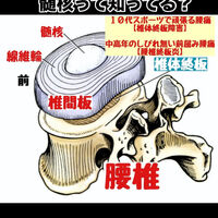 画像3089