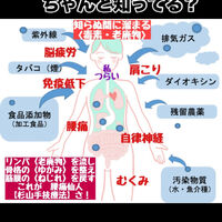 画像3091