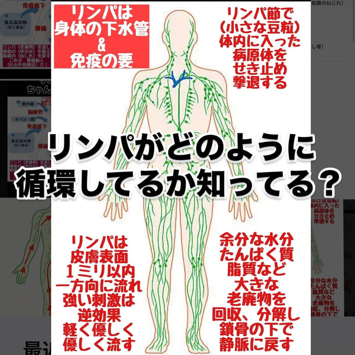 画像3093