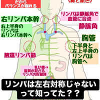 画像3101