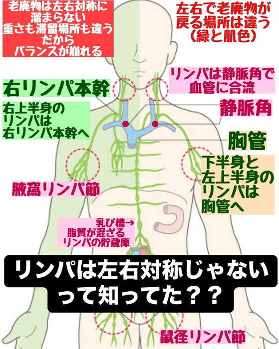 画像3101