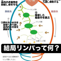 画像3103