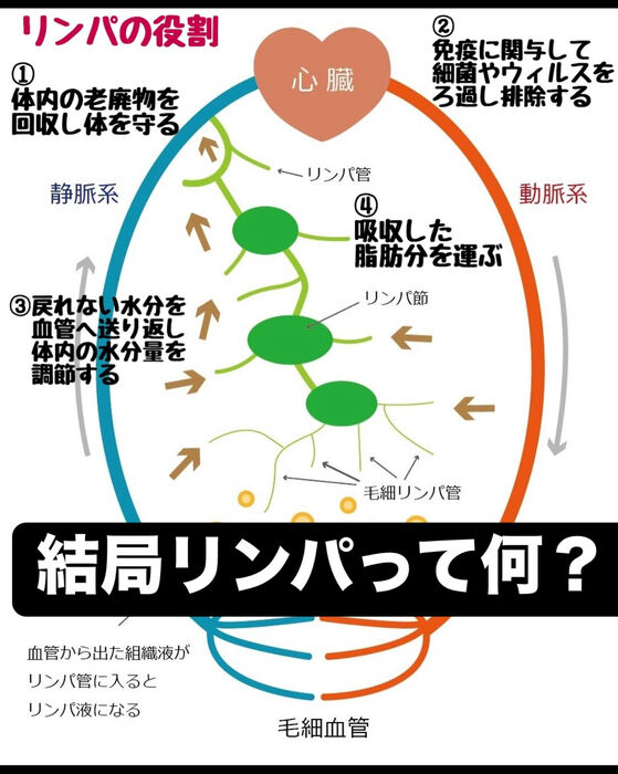 画像3103