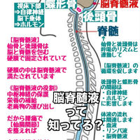 画像3115