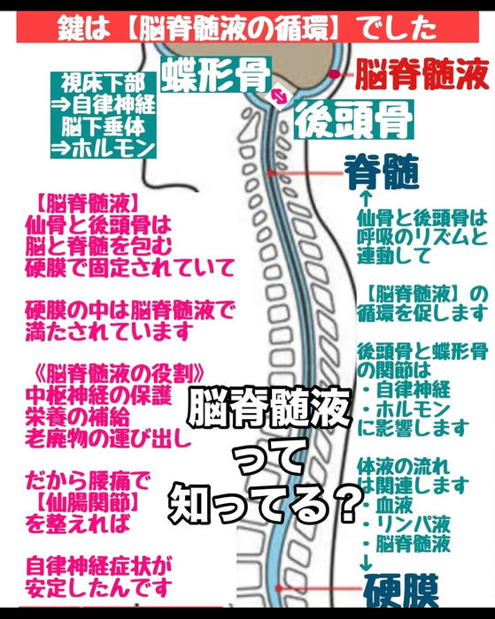 画像3115