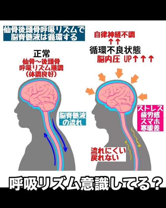 画像3117