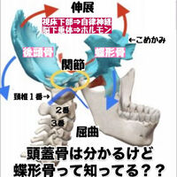 画像3121