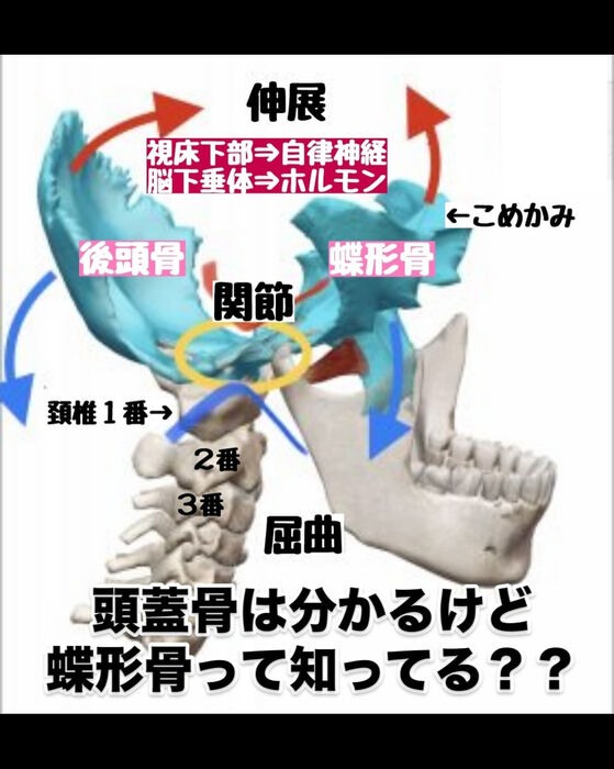 画像3121