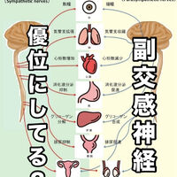 画像3123