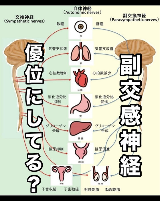 画像3123