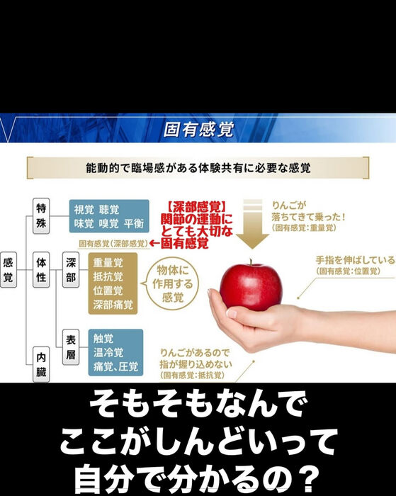 画像3127