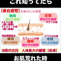 画像3129