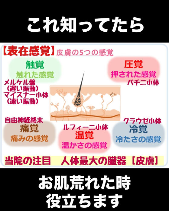 画像3129