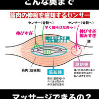画像3133