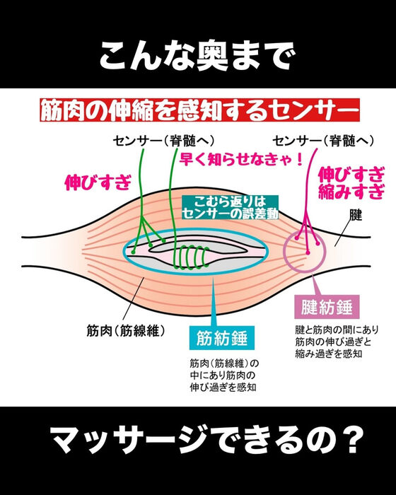 画像3133