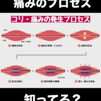 画像3136