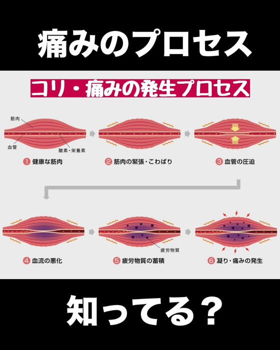 画像3136