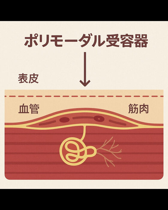画像3137
