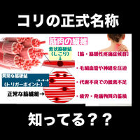 画像3139